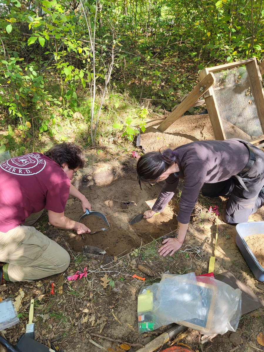 Chippewa National Forest tweet media