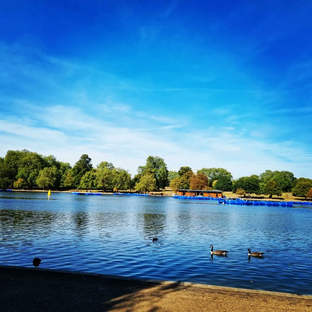 SandHighTex's tweet photo. Followed by some serious inspirational shopping at Harrods and Harvey Nichols with a pit stop in Hyde Park https://t.co/NTh2jNrB5v