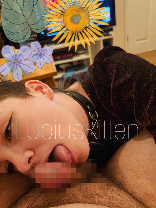 Mine and Alpha's first proper scene in over a year ❤️ my sex drive came back and it hit HARD. I was up