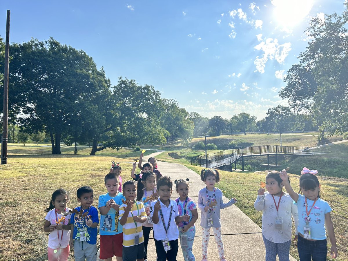 DowellDeloris's tweet photo. Mrs. Hernandezโs class is finding leaves (hojas) for the letter H! #ABCBootcamp @ShermanISD @jeepers315 https://t.co/ZkeUZ9ijkB