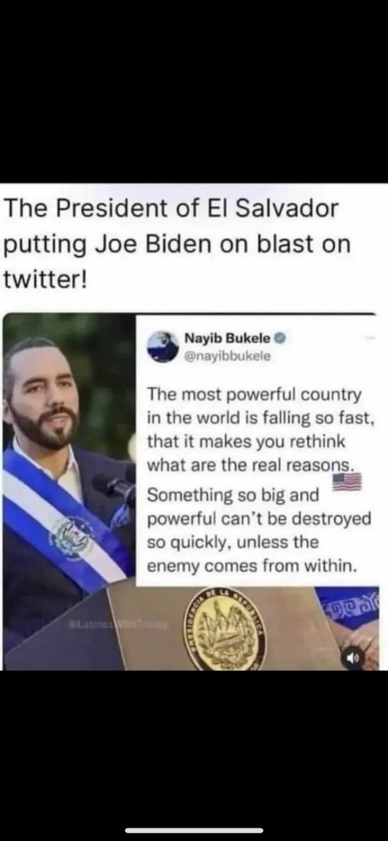 Kevin - WE THE PEOPLE🦁 tweet media