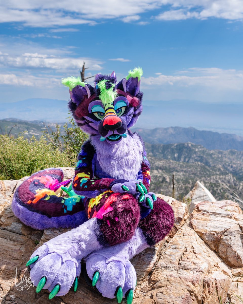Streak_er's tweet photo. Enjoying the view?

🧵:@WildFoxWorks 
📸:@luke_spots https://t.co/LSnlvyhezr