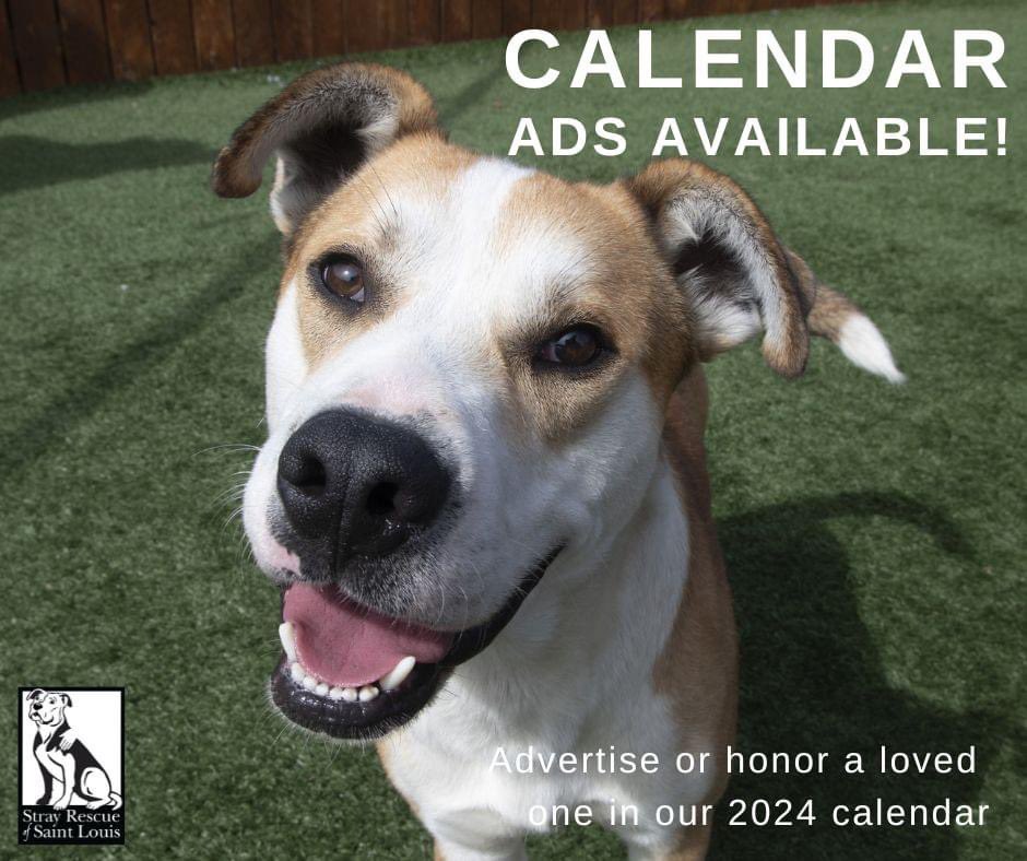 We're working on our 2024 calendar and we have ad spots available, one per month! Advertise your animal-loving business, surprise a loved one, or honor a pet. Learn more right here to help homeless pets in need: Strayrescue.org/2024-calendar