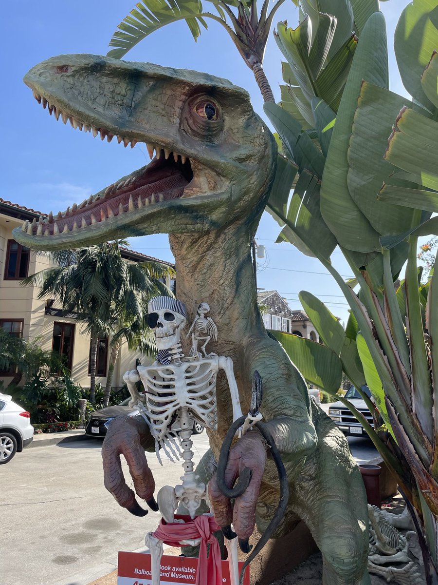 LoriAndingKing's tweet image. They’re already breaking out the decorations! #fallvibes #justcreate #lookup