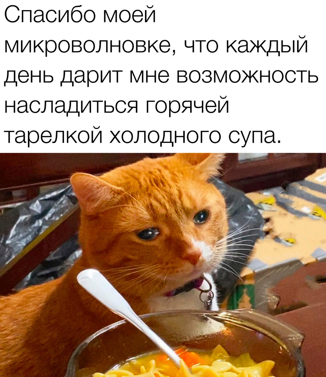 Пьяный Твиттер (@drunktwi) on Twitter photo 