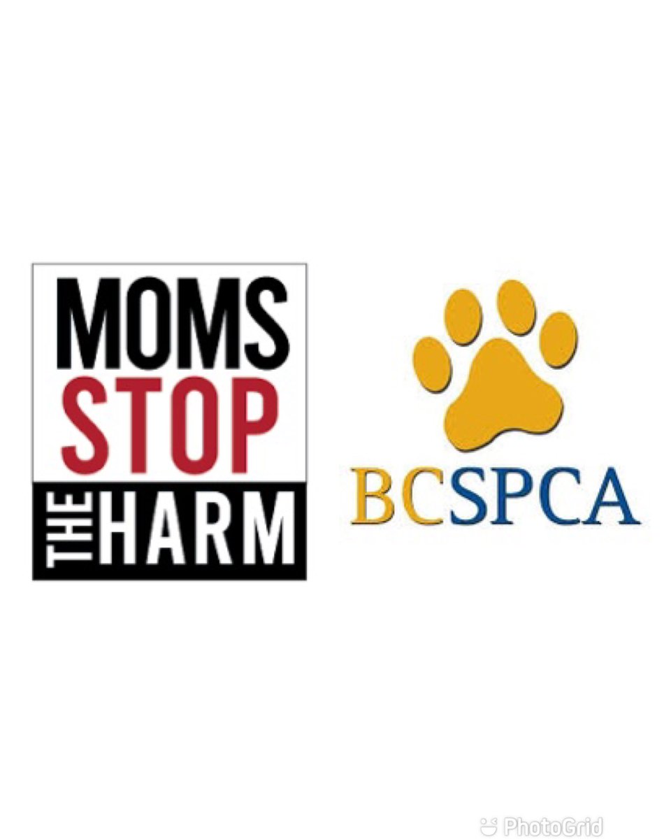 rthexton's tweet photo. When speaking w BC’s Chief Coroner Lisa Lapointe on my podcast this week, she identified @momsstoptheharm and @BC_SPCA as two of her favourite non profit organizations. I can’t wait to share this episode w you all very soon! #podcast #BC https://t.co/B56WkcNjYC