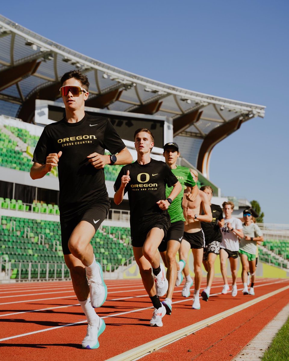 Don’t dream about success.Get out there and work for it.

Sometimes dreams come true😴