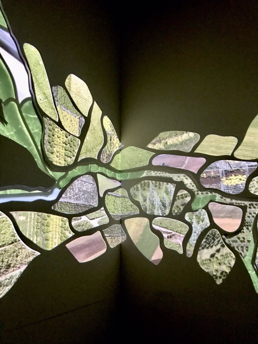 VisitMôr tweet media