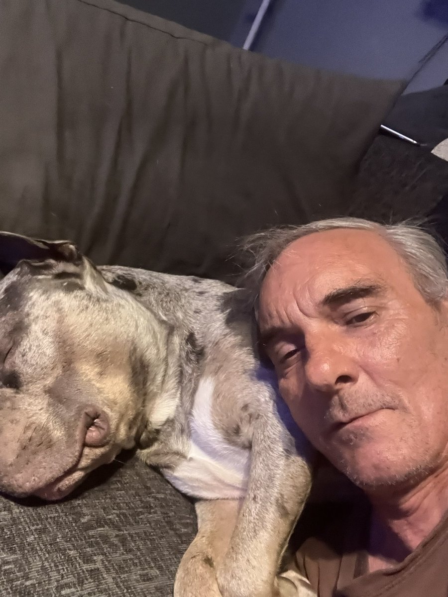 Anyone else for a pit bull pillow and yes I need a haircut 🐶🐾🐾🐾