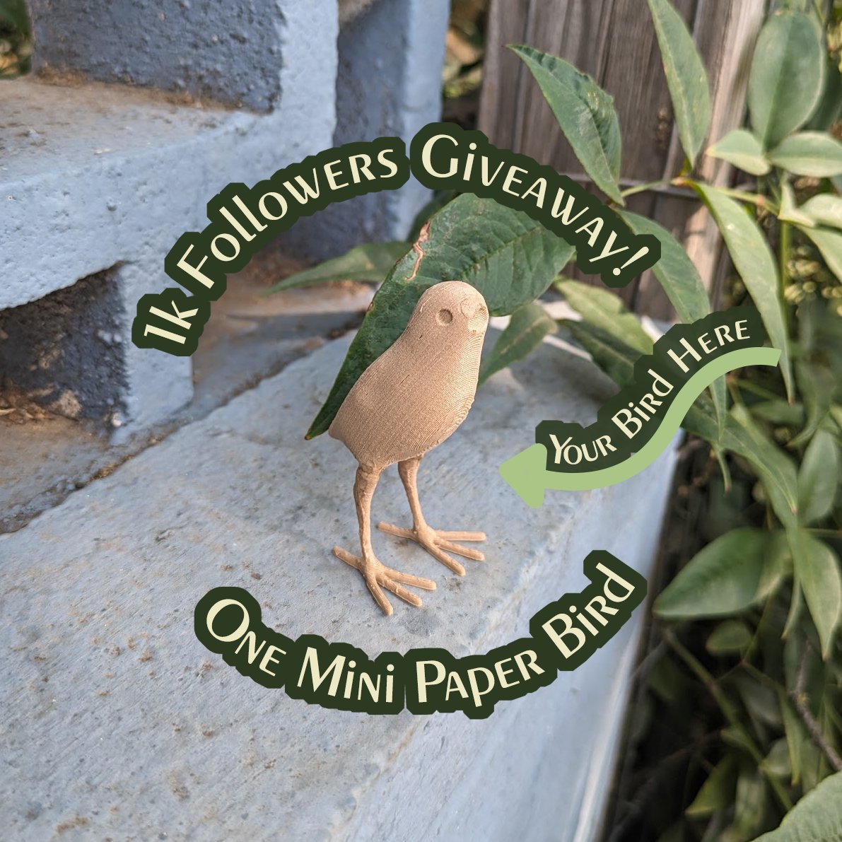 Non_Birdnary's tweet photo. 🎁1K + Birthday Giveaway!🎁
🌟1 PRIZE- One custom mini bird🌟🐦

How to join:
🪶Comment your favorite bird
Ends Sep 23 9pm pst (my birthday 🥳)
Winner TBA

Real or OC but must fit the mini basic bird body
International 👍!

Thank you everyone for enjoying my art! 😭❤️ https://t.co/DExBV6TyYr
