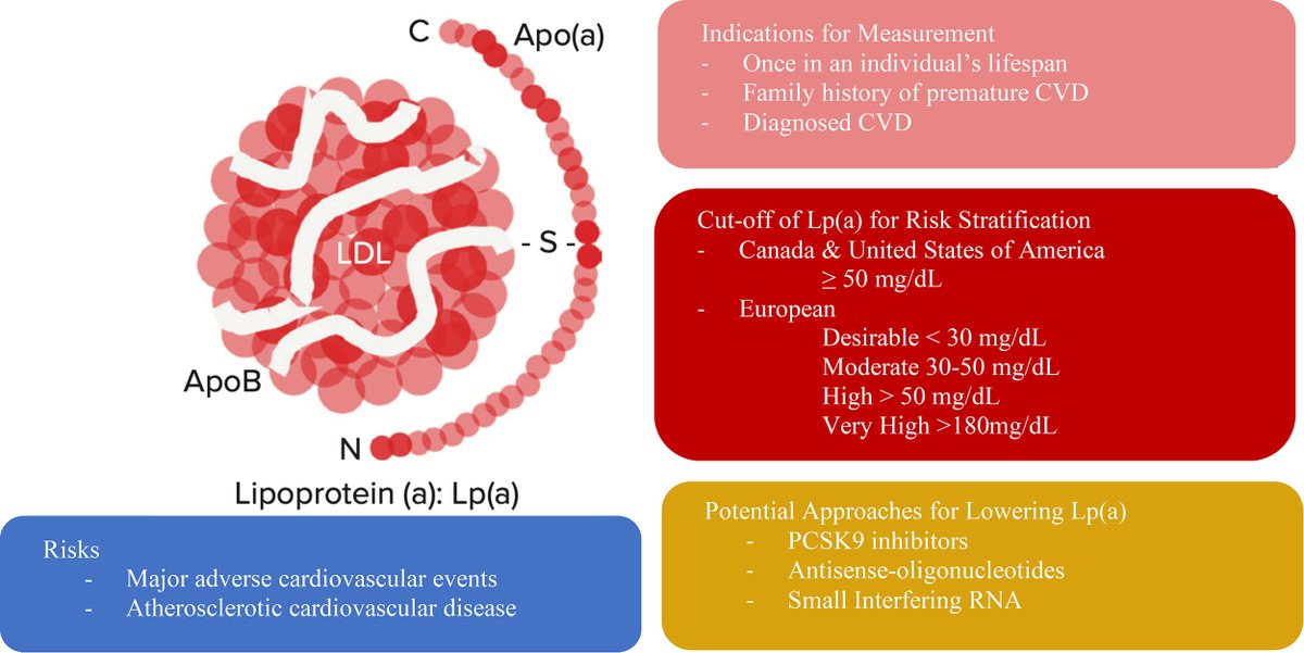 JNPNow's tweet photo. A new report aims to raise awareness about the significance of elevated Lp(a) levels in contributing to atherosclerotic cardiovascular disease and major adverse cardiovascular events #CVD#lipid#NP#LPA
https://t.co/9ZJNbrV8B0 https://t.co/ashPI3sWgv