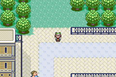 TodoPasso's tweet photo. Dia 557. Oiê. Como tá a tarde de vocês? Alguém aqui gosta de Args? Queria umas recomendações pra eu procurar vídeo sobre.
#Pokemon #Passoverso
Não esqueçam de votar e dar RT
Objetivo: Rustboro Gym https://t.co/KVVUn88AyM