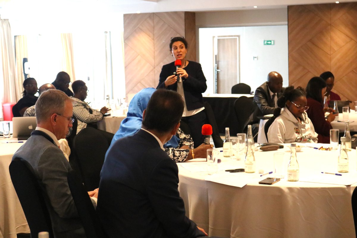 In a session led by the @UnKenya Resident Coordinator @SWJacksonUN , Sigrid Gruener, from the @DagHammarskjold joined the consultations and presented on Sustainable Peace building Financing Models. #AmaniPamoja

@UNPeacebuilding
