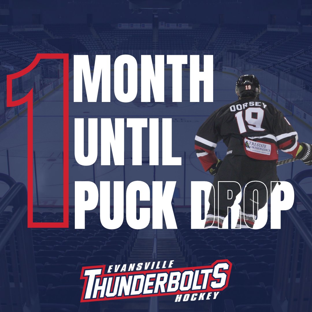 evvthunderbolts's tweet image. ONE. MONTH. AWAY.🤩🎉

#IsItOctoberYet