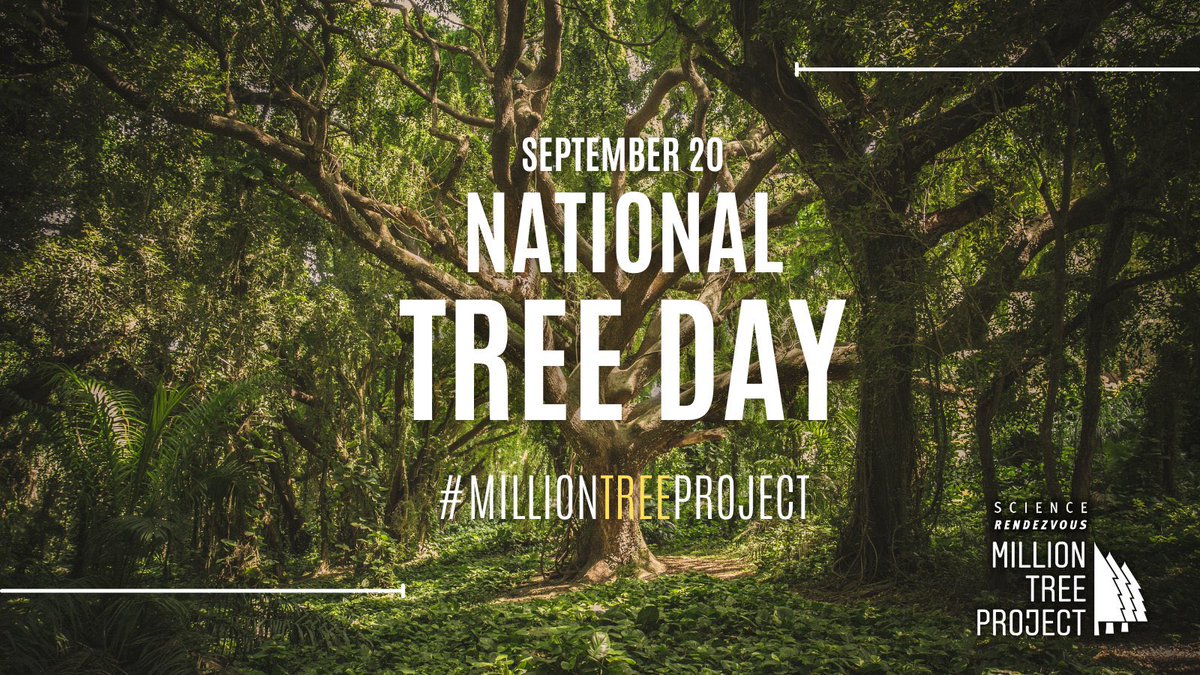 Happy National Tree Day! This day is an opportunity to celebrate the many benefits that trees provide — clean air, cooler cities, wildlife habitat and connection with nature. How are you showing your appreciation for trees today?