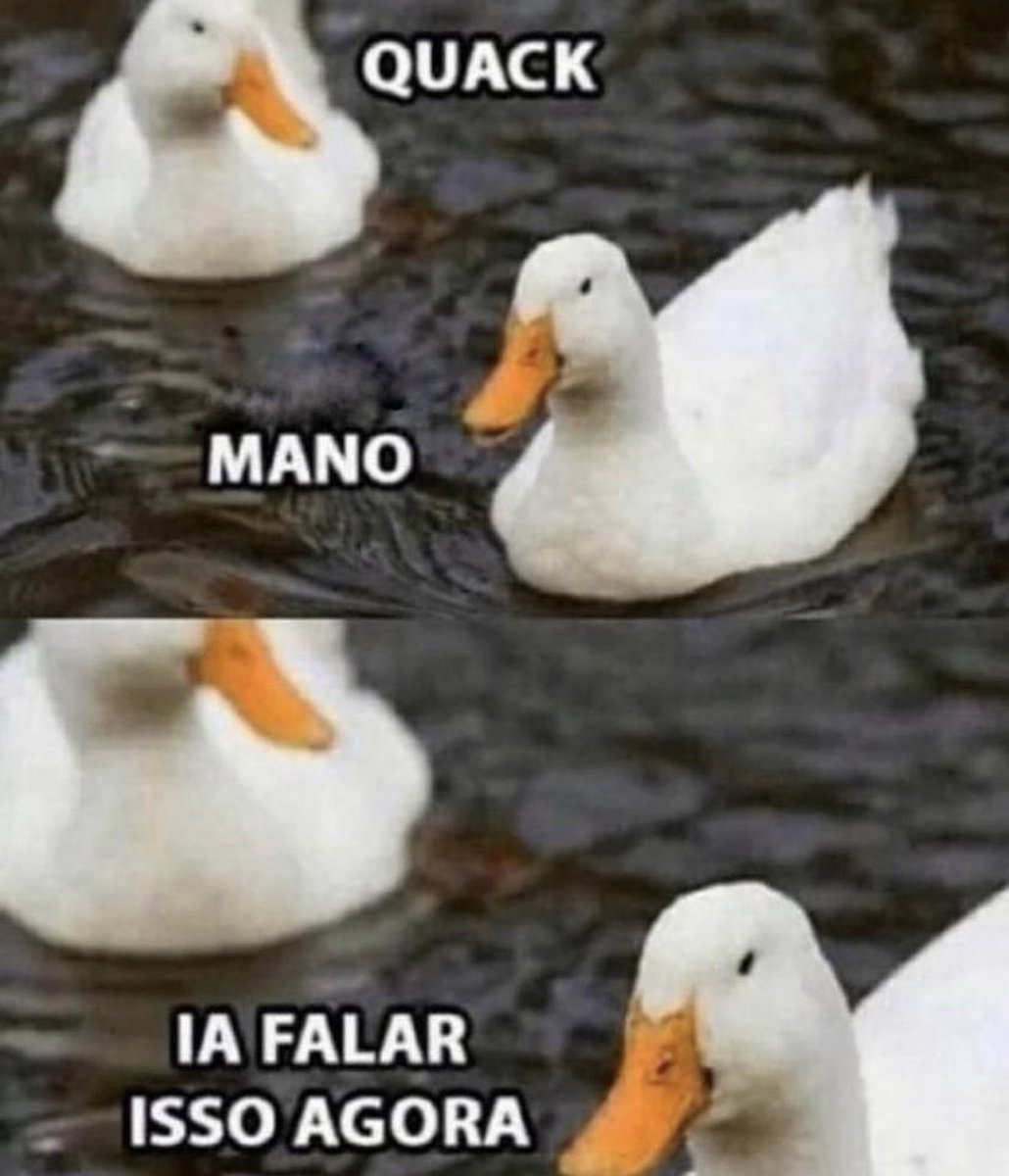 shitpostverdade's tweet photo. https://t.co/YSdRhBFKu1