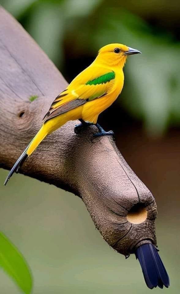 ≿━𝓜𝓸𝓱𝓪𝓶𝓶𝓪𝓓_𝓢𝓾𝓜𝓸𝓝_𝓚𝓱𝓪𝓝━≾💞 (@mdsumon_khan1) on Twitter photo 