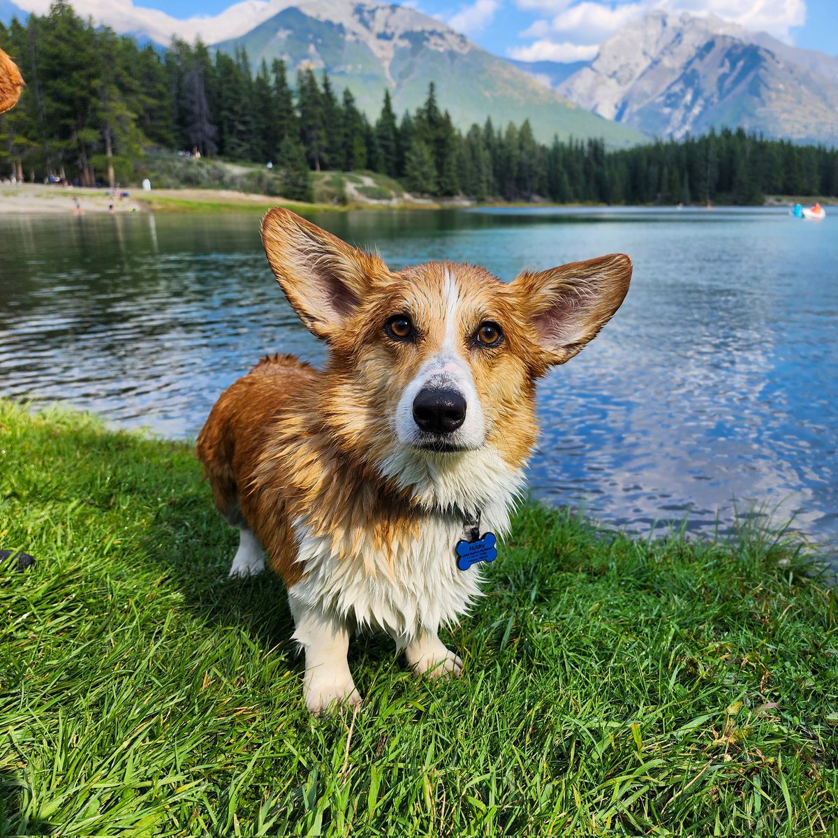 Rockyscrazylife's tweet image. Yeah this photo was shot at Johnson lake, probably 30 mins or so from lake Louise. Always such a beautiful background.