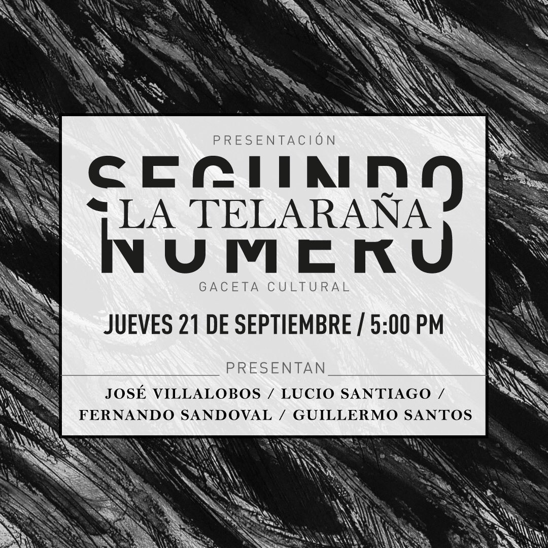 Zopilote Rey tweet media