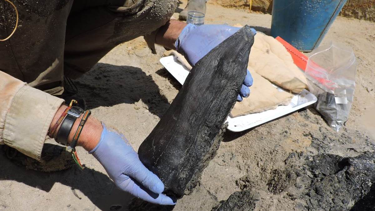CaraSantaMaria's tweet photo. Archeologists find wooden structure that predates modern humans in Zambia.
#Archeology #WoodenStructure #ModernHumans #HomoSapiens #History #Anthropology
https://t.co/plt31VPGjr via @CosmosMagazine https://t.co/wOkXiBeSJm