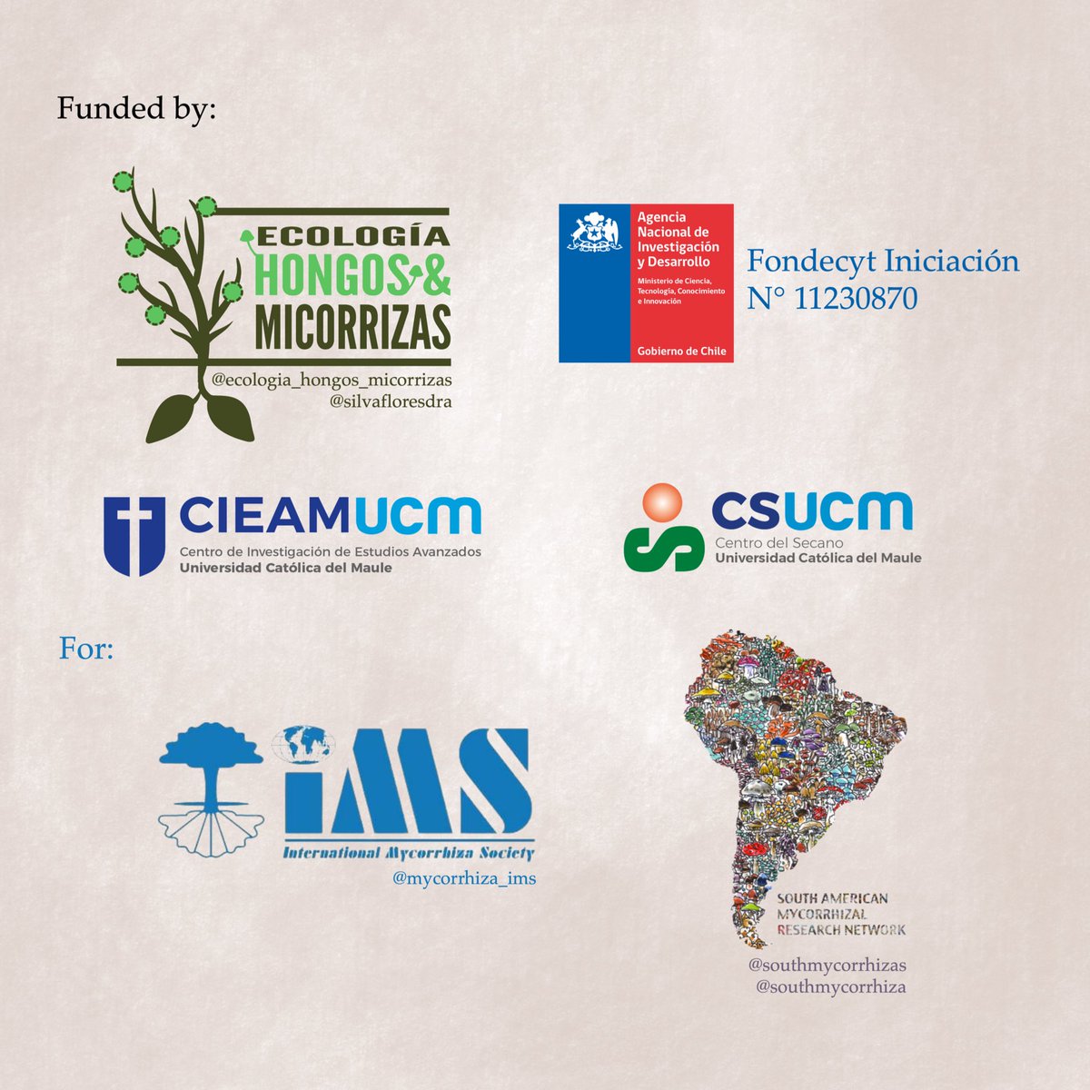 We are very happy to share with you this new initiative, where we will share infographics with information about #mycorrhizas. We will be accompanied by our friend "Mycorrhi-Z". Welcome to Mycorrhizas #1 wonderfully illustrated by <a href="/drawinscience/">Bertsy Goic</a>