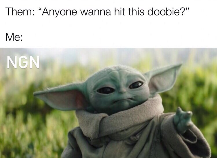 JamieLindon's tweet photo. #meme #memes #memestagram #grogu #babyyoda #ngn #thejoker #mrj #clowningdirty #whysoserious #wereallclowns #lindonsworld #jamiesworld #jamielindon #canada #canadian #nerd #🃏 https://t.co/Fq55z8KuMg