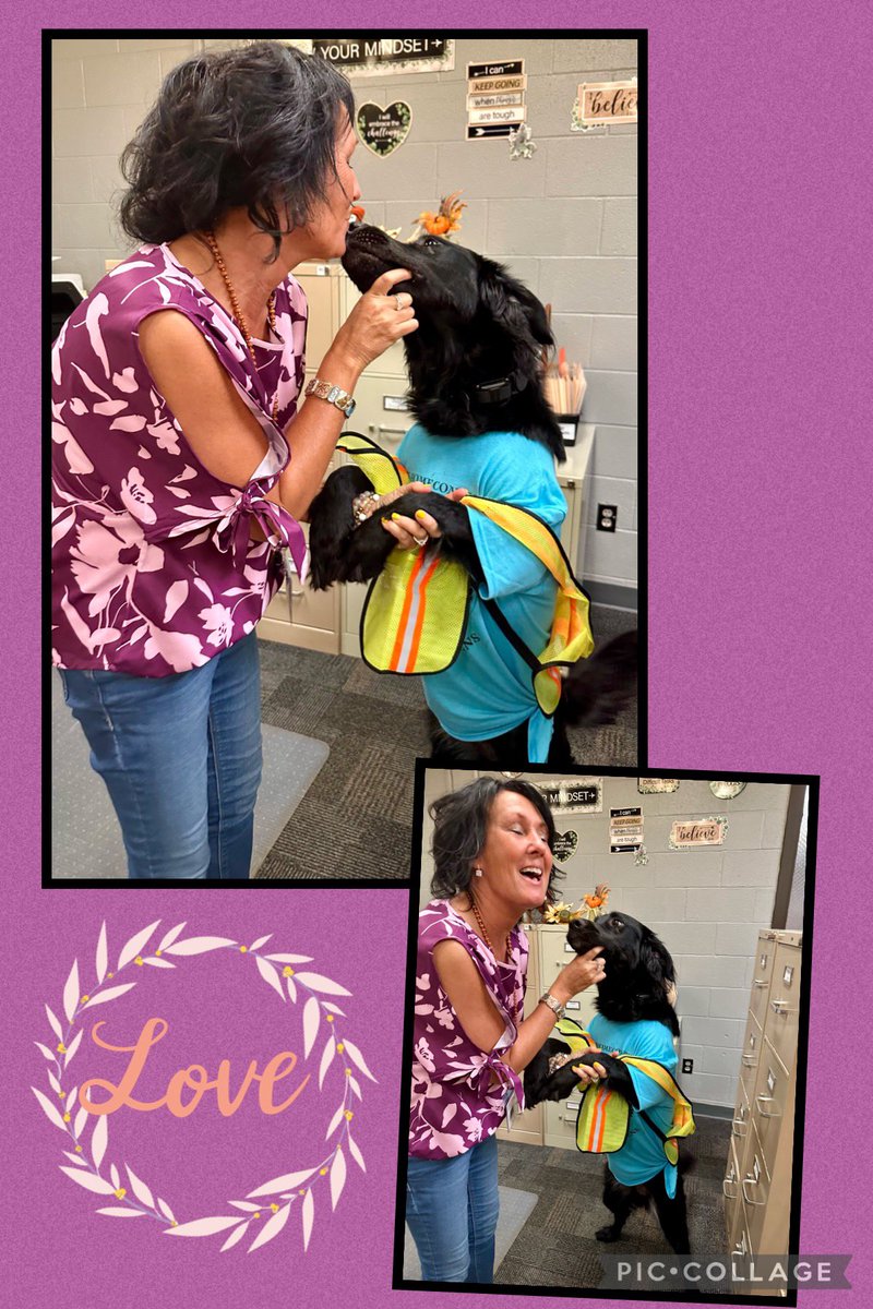 tra_caldwell's tweet photo. How lucky am I? This is work… daily fur baby 😘 kisses …How lucky is CHS? This sweet girl brings the students and staff so much joy! #fcscspartanspride #CHSSpartanPride  Julie Bell thanks for sharing her with us 😍 https://t.co/vjoLyU91D3