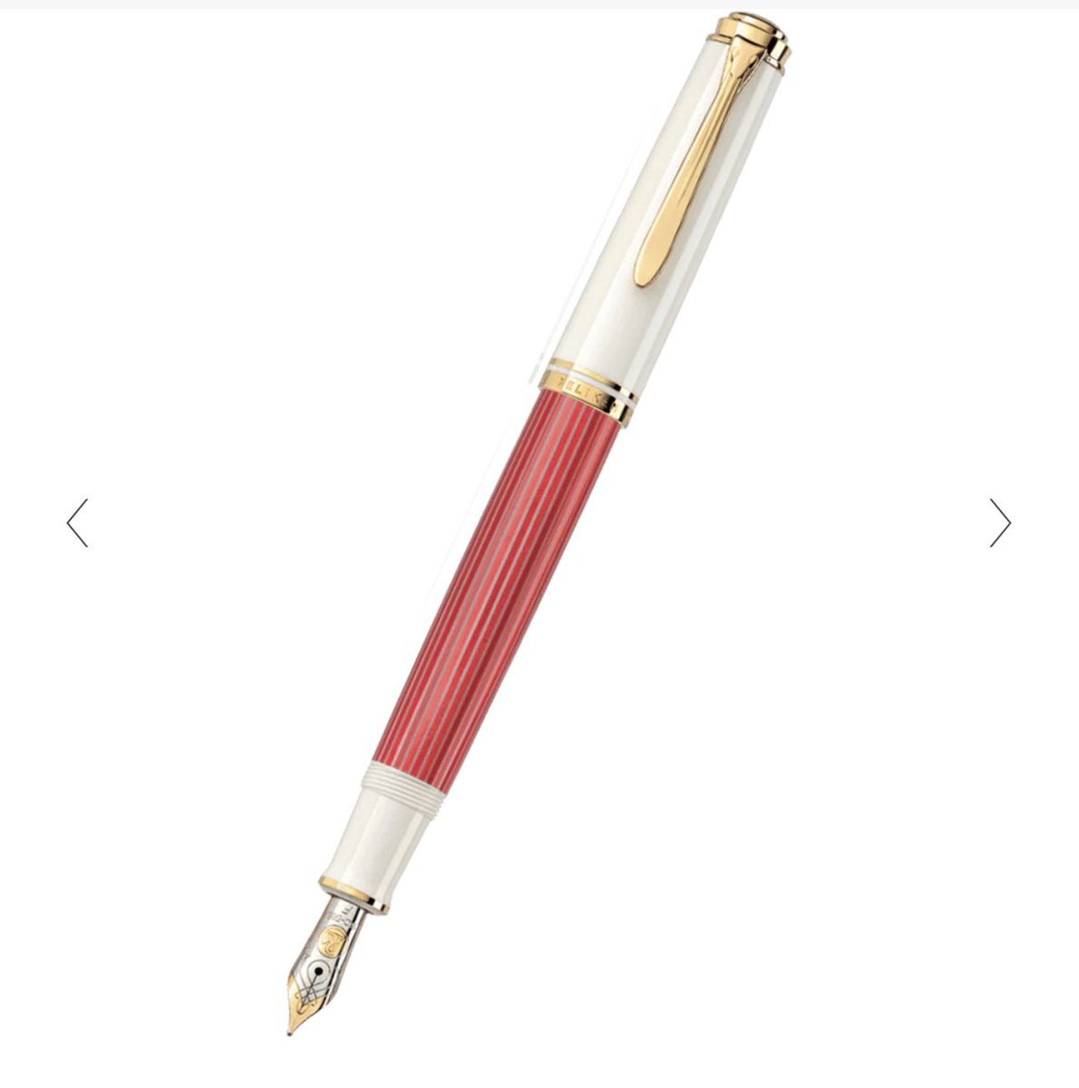 세상에 펠리칸 이거 너무 아름다와요 여러분들