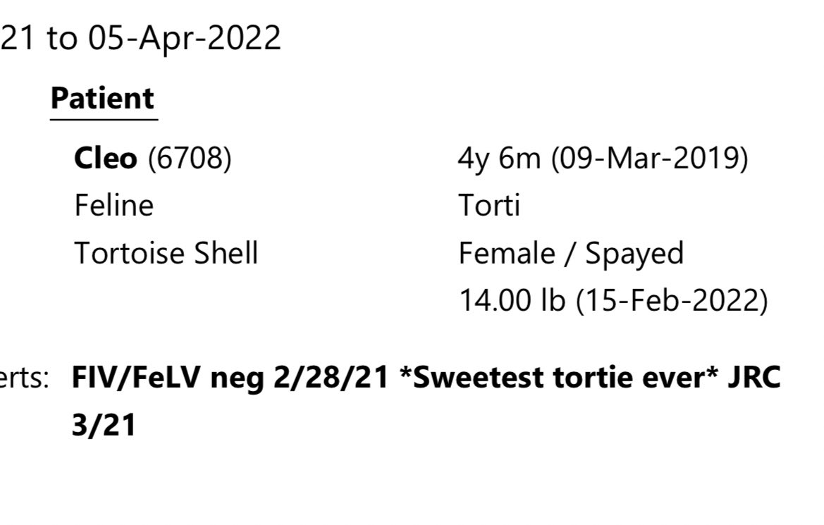 Cleo's records from her last appointment 😭😭😭 why did I cry