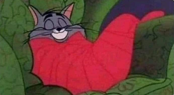 MarioAguilarMG's tweet photo. Yo: “Hoy limpiaré, haré ejercicio y me pondré al día con todo, seré muy productivo”.

Yo todo el día: https://t.co/Byftnlo8Sv