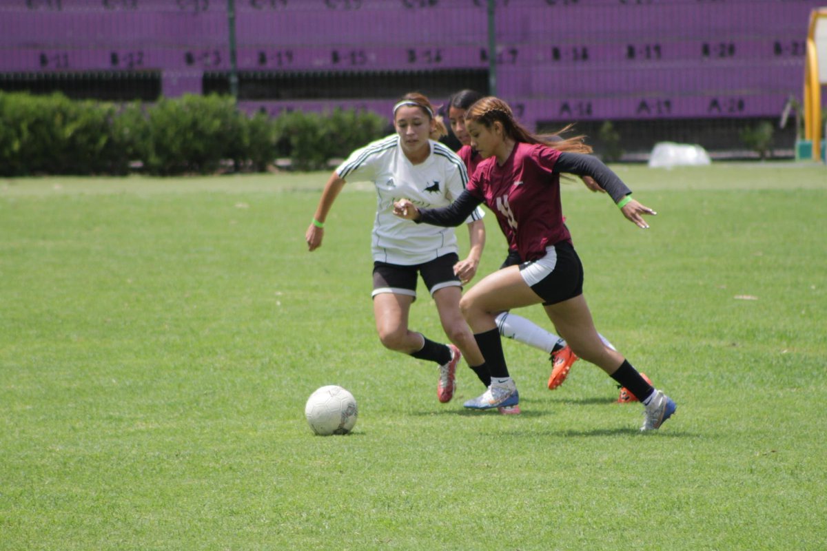 PrepaTlajo's tweet photo. #Fotogalería 📸🏆
Las #Prepas 6, 17, Toluquilla, San José del Valle y #PrepaTlajo compiten en basquetbol, voleibol y futbol para definir a las y los campeones de la Región VI del Torneo #InterPrepas 2023. ⚽🏀🏐
@sems_udg @udg_oficial @VidaSems #SomosPrepaTlajo 🦁🇧🇪 https://t.co/33qZZuHvn8