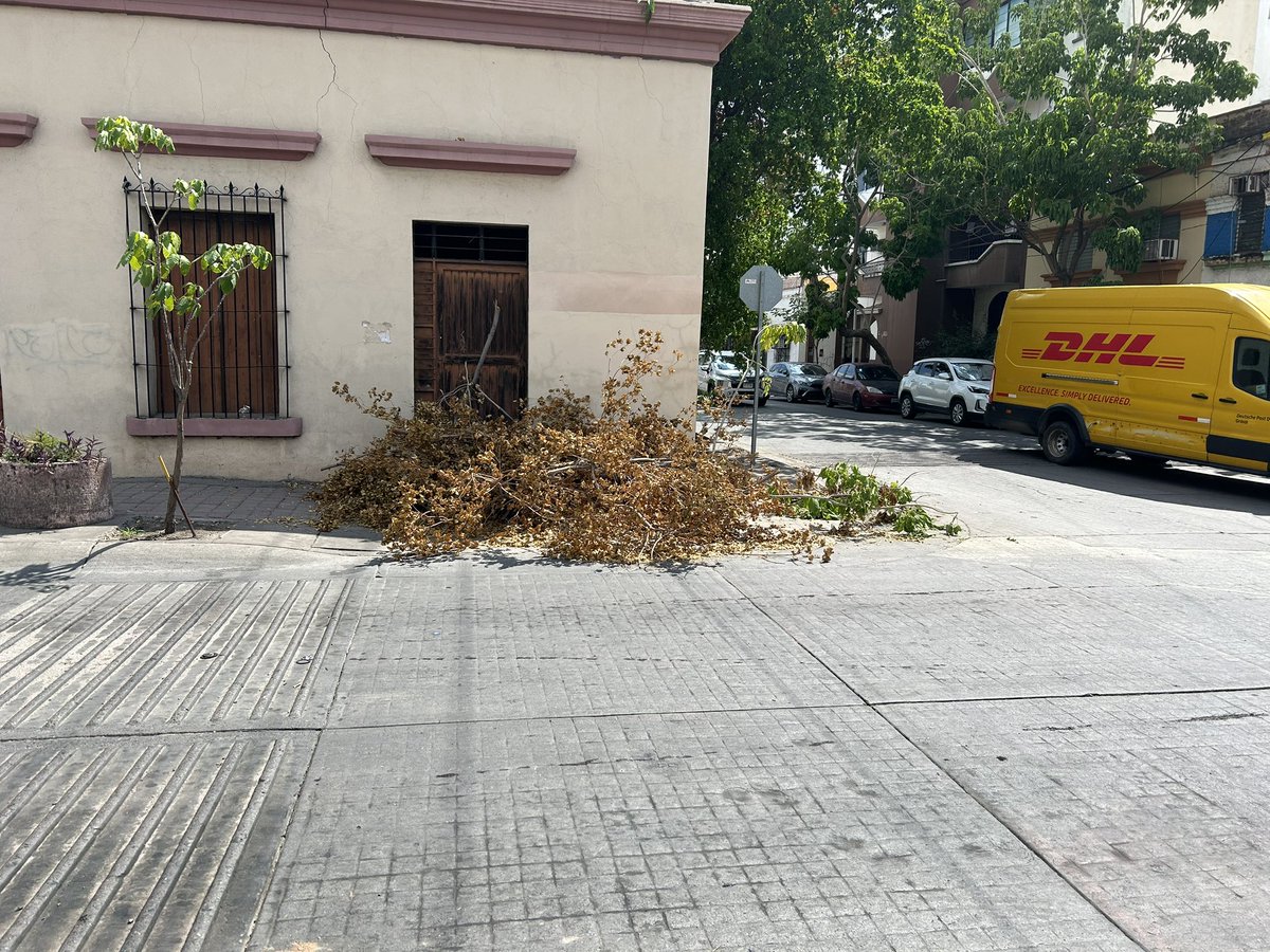 jesuhern's tweet photo. @AyuntamientoCLN cortaron los árboles los de CFE y dejaron obtenida la banqueta en las calles Juárez y Rica Palacio del Centro de la Ciudad https://t.co/GpIPY7fMbP
