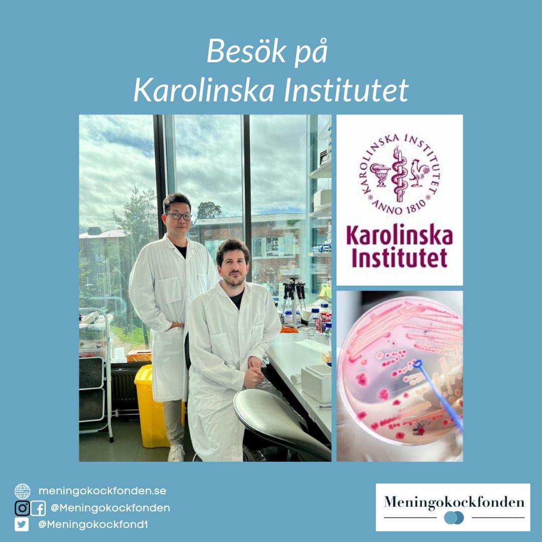 Besök på Karolinska Institutet i Stockholm där Associate Professor Edmund Loh och Dr. Chris Hadjineophytou berättade om det viktiga forskningsarbetet de håller på med gällande meningokockinfektion (Neisseria meningitidis).

#DefeatMeningitis #WorldMeningitisDay #meningokockfonden