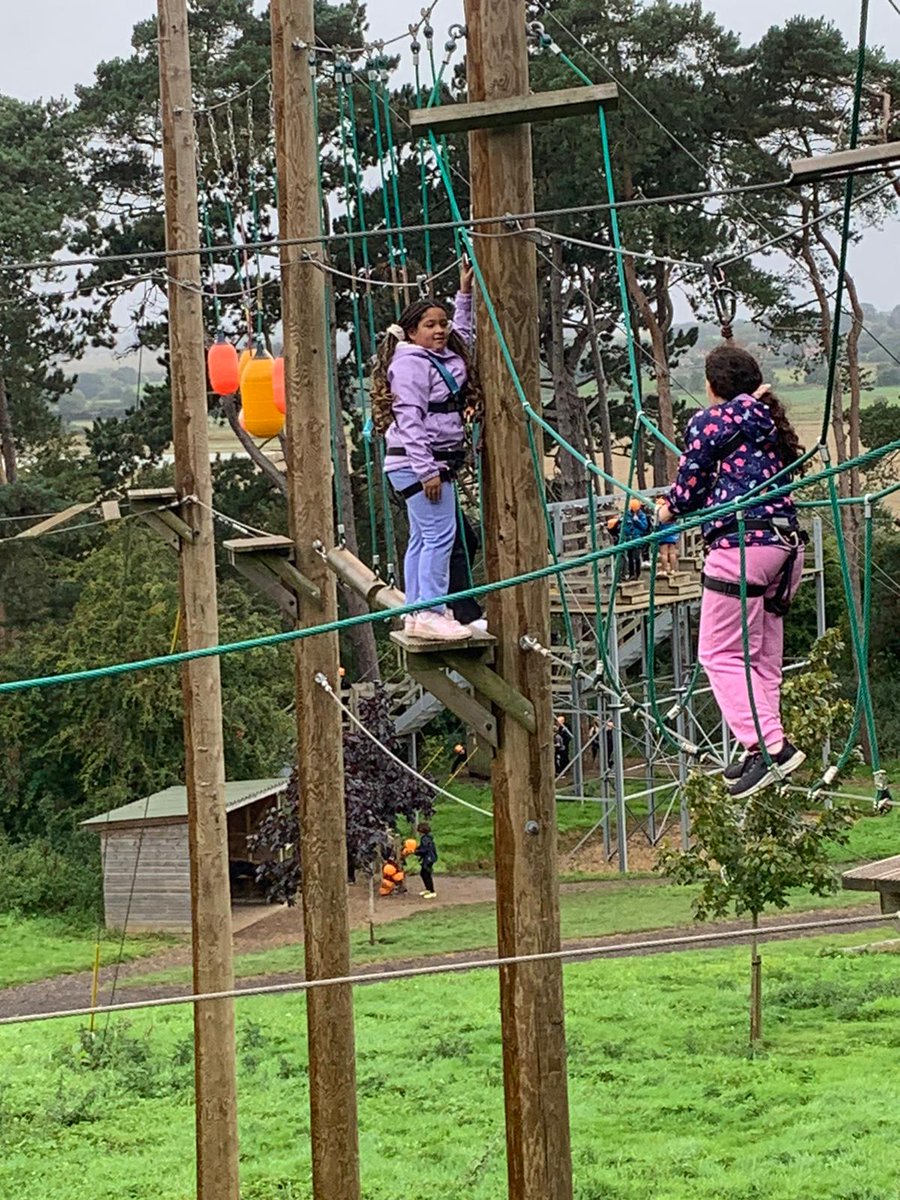 Wheatfields_'s tweet image. 