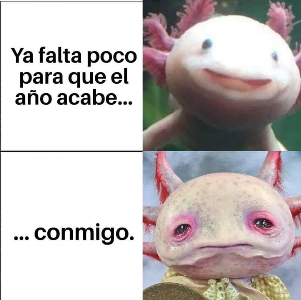 🇲🇽 México Mágico ✨ (@enmexicomagico) on Twitter photo 