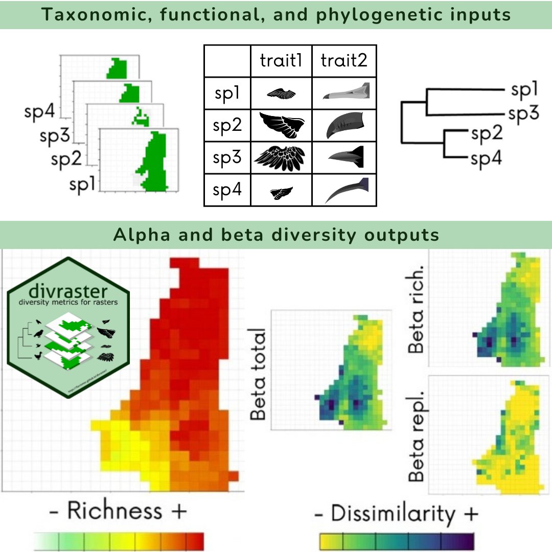Flávio Mota (@fmota_eco) on Twitter photo 📢New paper📄First R package for calculating temporal beta and its components across taxonomic, functional, and phylogenetic diversity from rasters! #macroecology #rstats
🔗 flaviomoc.github.io/divraster
🔗 doi.org/10.1111/ecog.0…
<a href="/AlvesFerreiraG/">Gabriela Alves-Ferreira</a>
<a href="/dctalora/">Daniela Talora</a>
<a href="/NeanderHeming/">Neander M. Heming</a>
<a href="/Leac_Uesc/">Applied Ecology & Conservation Lab - LEAC</a> 📢New paper📄First R package for calculating temporal beta and its components across taxonomic, functional, and phylogenetic diversity from rasters! #macroecology #rstats
🔗 flaviomoc.github.io/divraster
🔗 doi.org/10.1111/ecog.0…
<a href="/AlvesFerreiraG/">Gabriela Alves-Ferreira</a>
<a href="/dctalora/">Daniela Talora</a>
<a href="/NeanderHeming/">Neander M. Heming</a>
<a href="/Leac_Uesc/">Applied Ecology & Conservation Lab - LEAC</a>