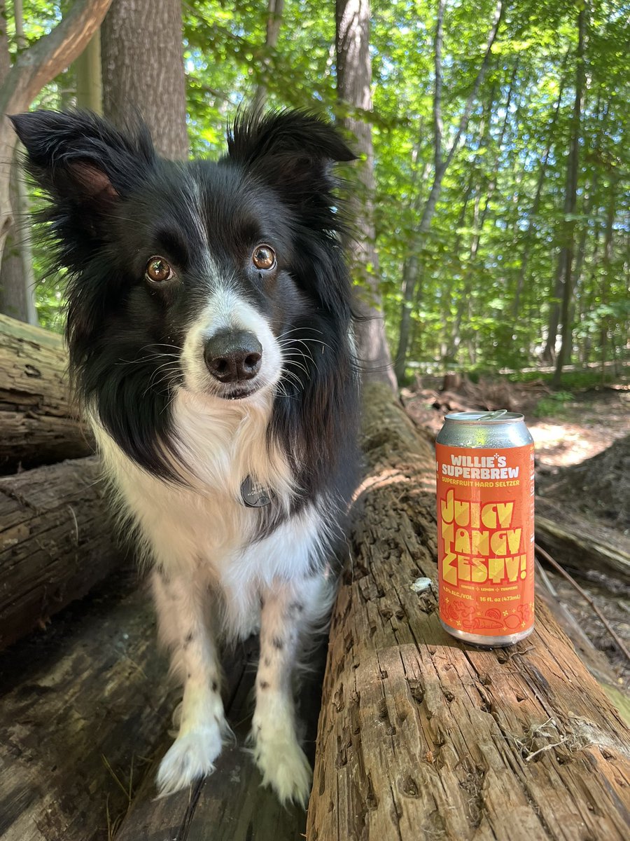 This is your sign to grab your best friend, break out those trail sneakers, and snag a can of Willie's Superbrew for a guaranteed good time. 🍻👟🐕 #WilliesSuperbrew #SuperAdventures