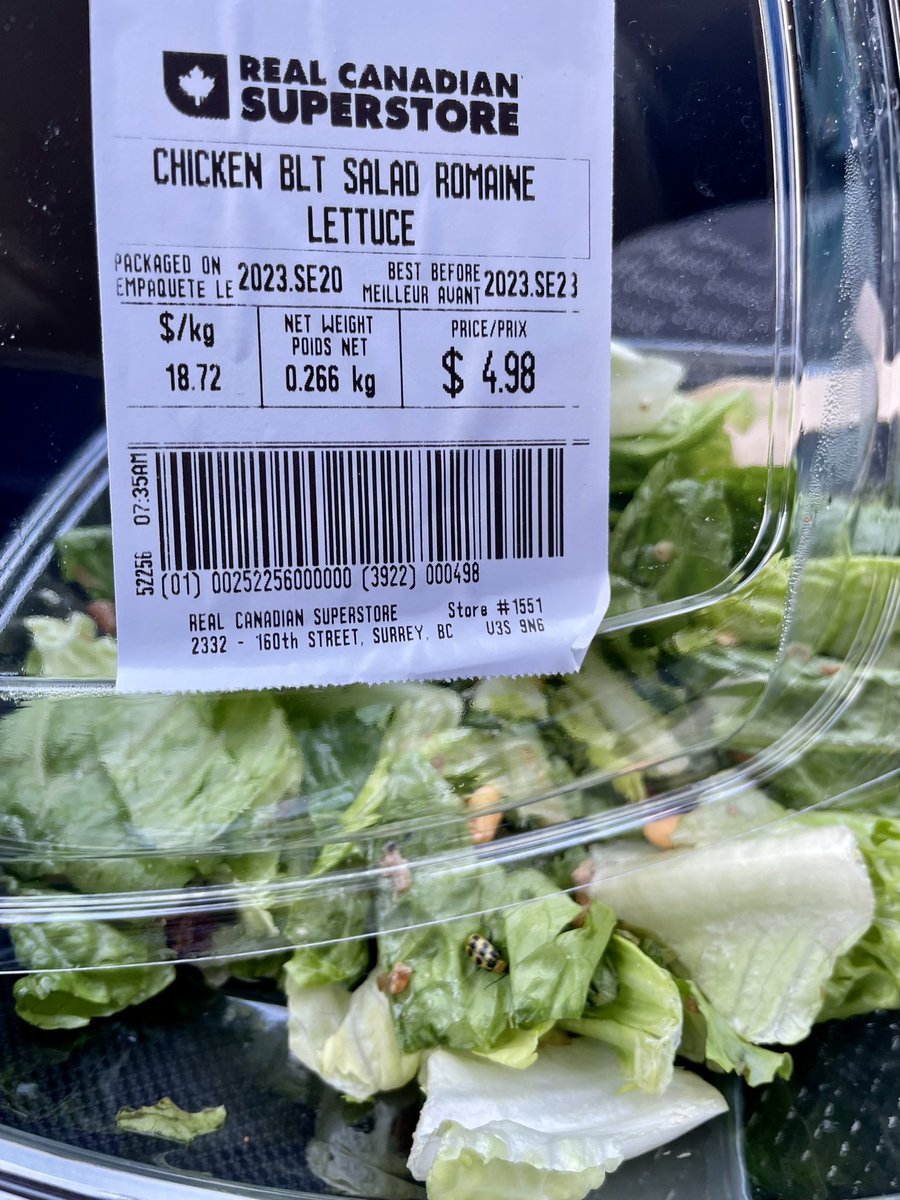Wow <a href="/RealCdnSS/">Real Canadian Superstore</a> this is very disappointing &amp; disgusting to find this in my salad today. Safe to say I’m never buying another salad from your stores ever again!! #food