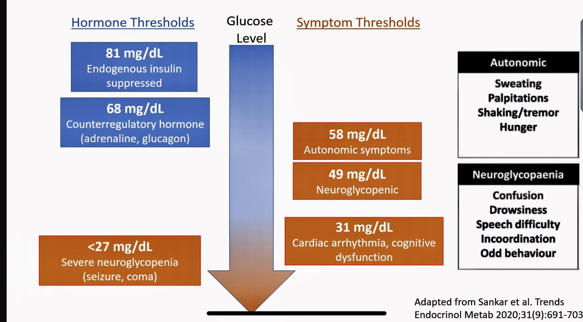 CU Anschutz Endocrinology tweet media