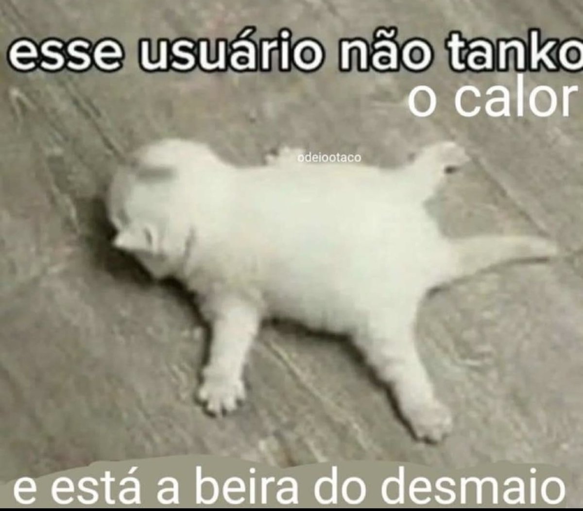 shitpostverdade's tweet photo. https://t.co/bL26ZCt3da