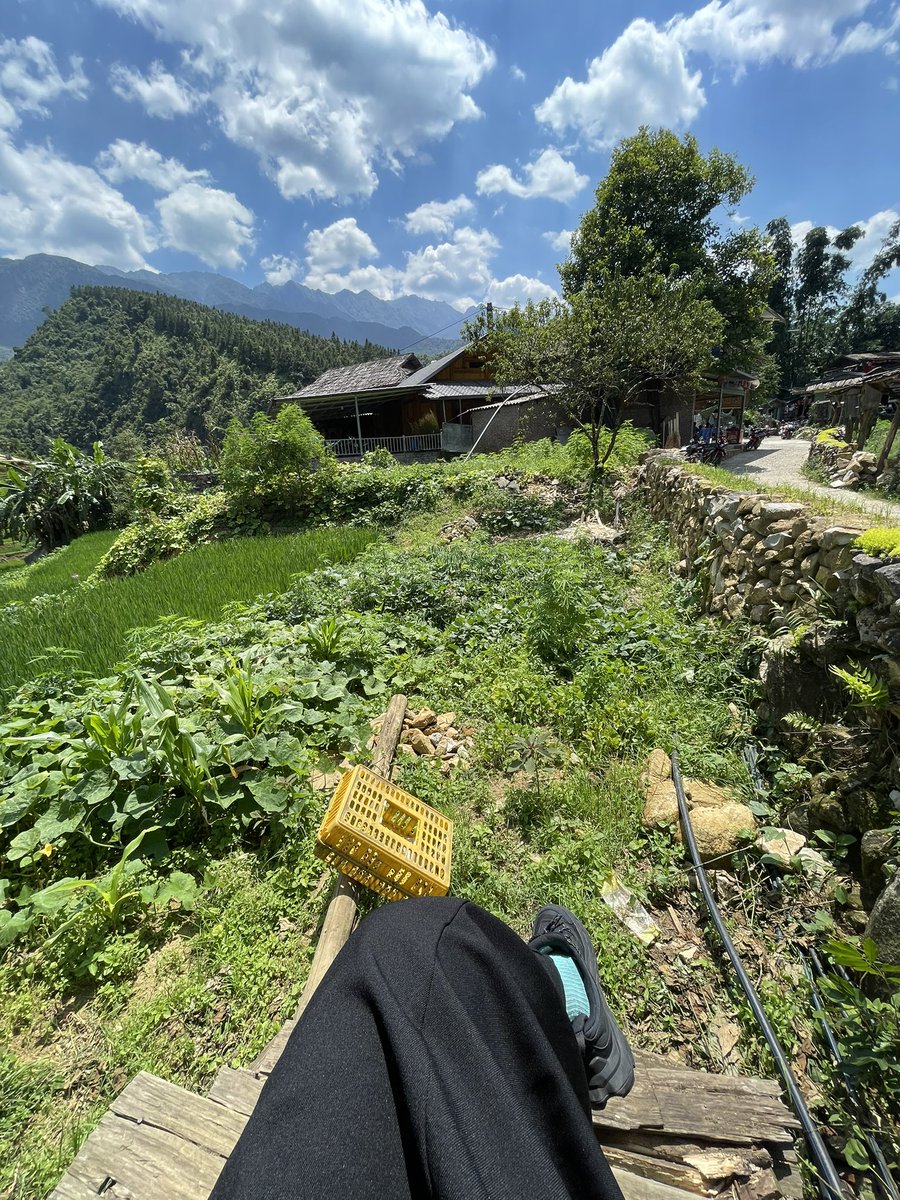 nonikepet's tweet photo. @govoes Review jujur, Hoka sangat nyaman. Buat jalan jalan. https://t.co/1O9hmxKewN