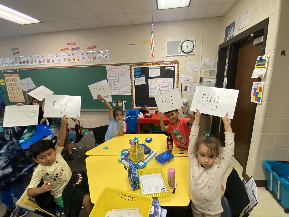 Kelly Ashline tweet media