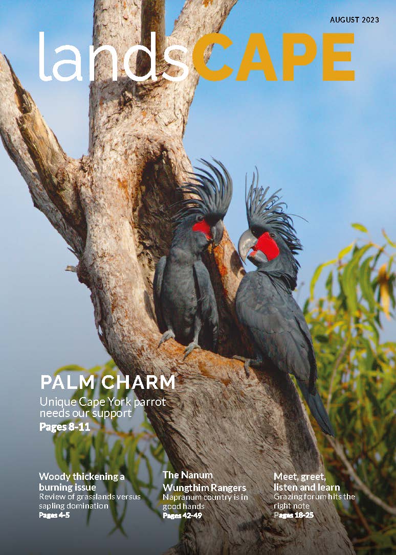 👀 Look what's just landed!

We are so excited to share our third edition of landsCAPE magazine with you all. Take a break, grab a coffee and enjoy the stories about people, places and projects on Cape York Peninsula

Download your copy here: capeyorknrm.com.au/newsroom/lands…