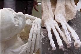 Enkidoo72's tweet photo. This body was analysed and found to be real

Nazca Peru https://t.co/EcOUh9UvCG