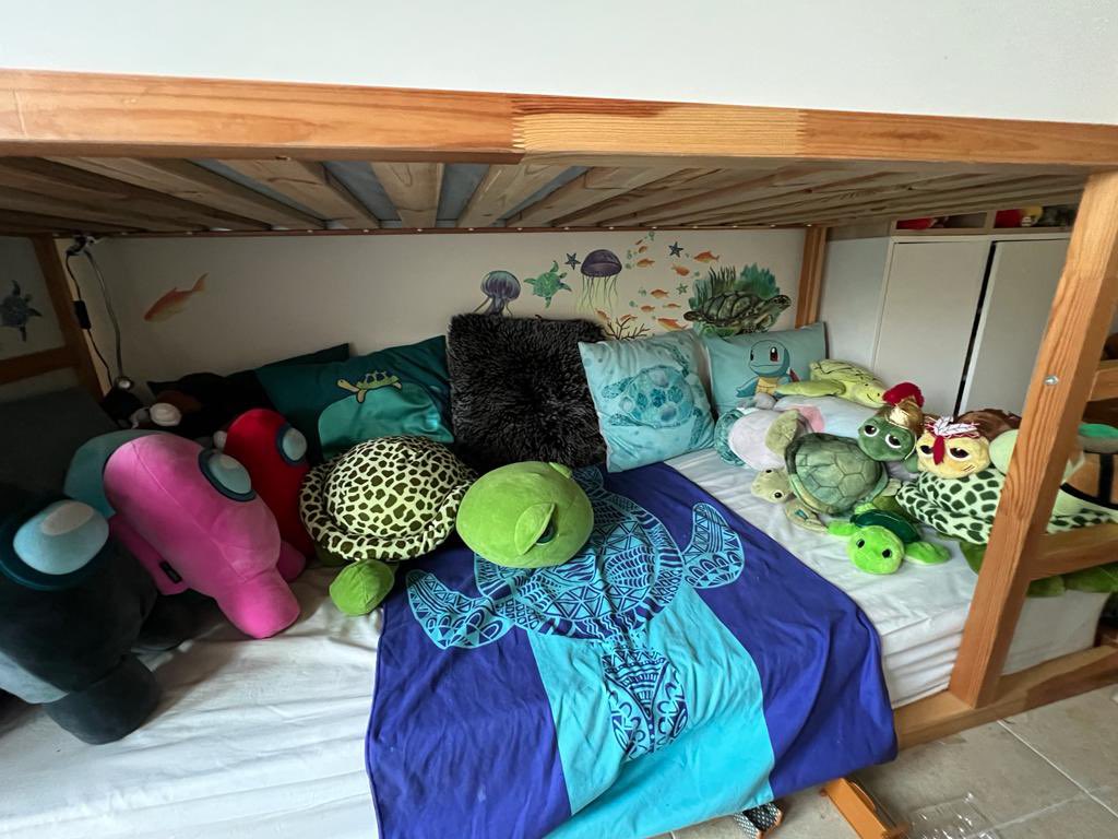 Ross Wynne tweet media