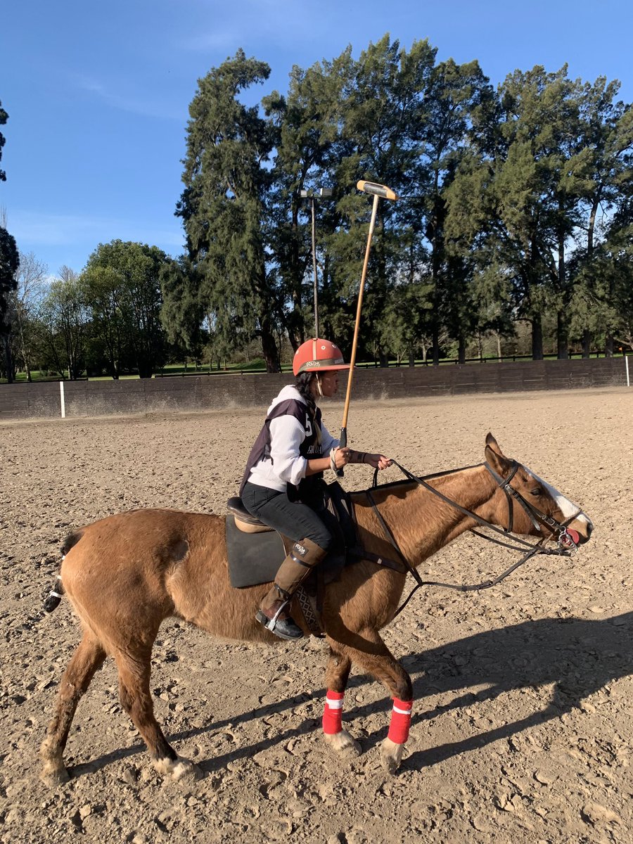 poloday_'s tweet photo. The Basics of Polo: Rules and Our Dedication to Your Polo Experience🐎💯
To truly appreciate and enjoy polo, it's important to grasp its core rules.
Read more about ir in our new blog! https://t.co/JiEEnLOp2K
#pololessons #polohorses🐎 #poloinargentina https://t.co/HMUqRcbsjE