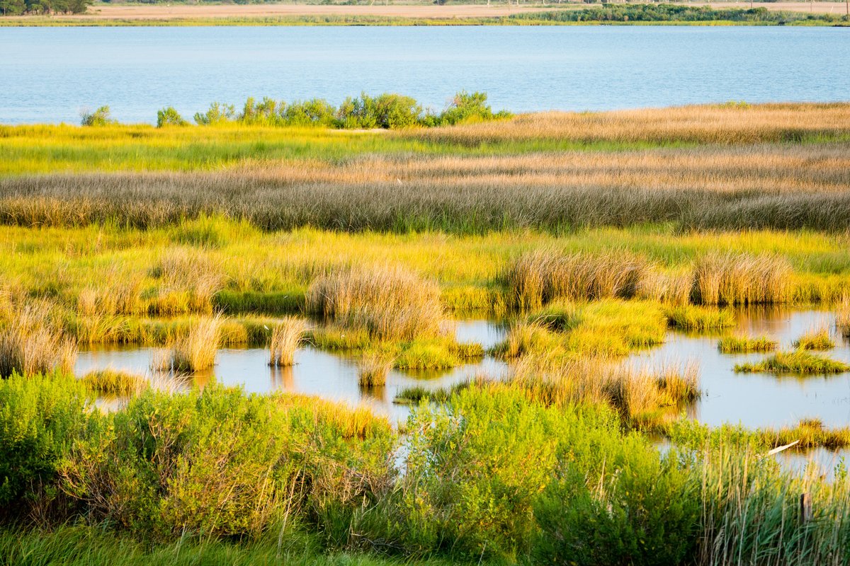 An estuary is a partially enclosed body of water where fresh water from rivers and streams mixes with salt water from the ocean. The Chesapeake Bay is the largest of more than 100 estuaries in the United States. #EstuariesWeek

📸Will Parson/Chesapeake Bay Program