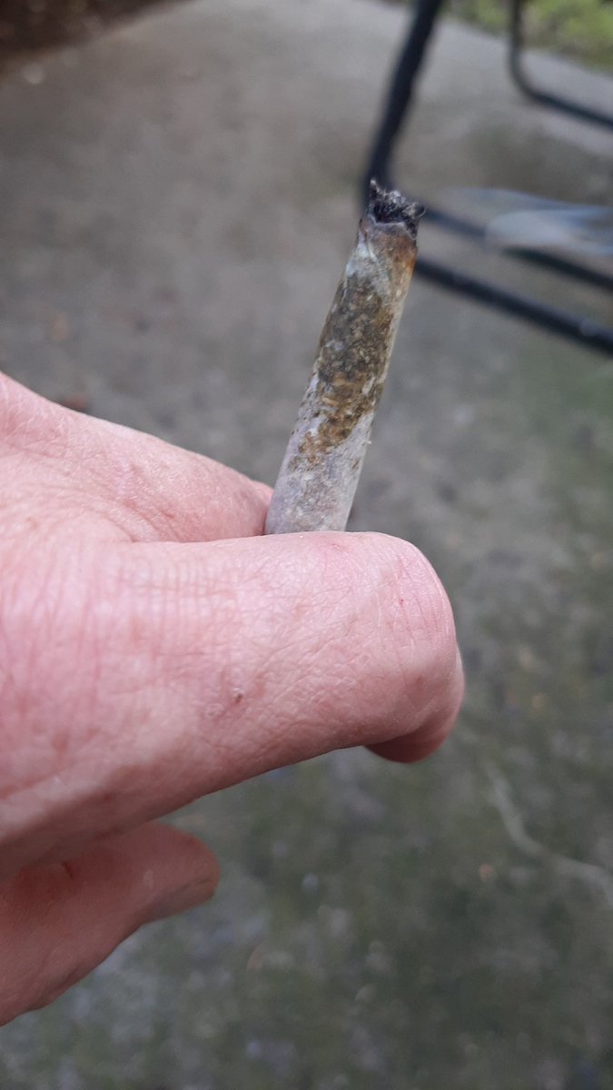 Instant_Dave's tweet image. 2 Hybrid strains, Diamonds and Sauce, plus 3 other budders smeared in there. Should be fun!

#420community #420Life #420friendly