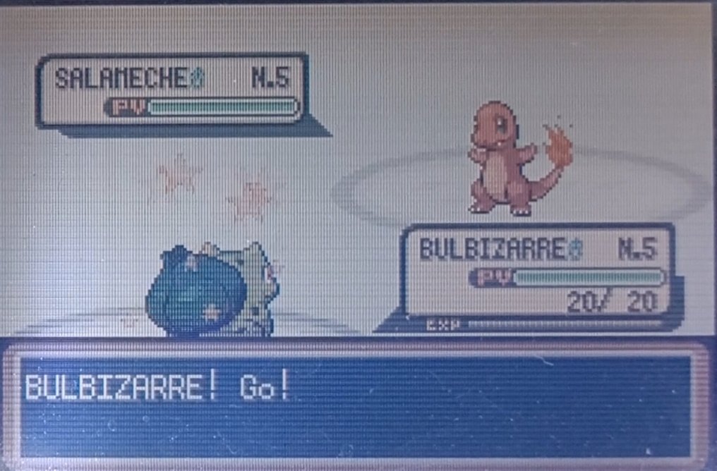 [#1/386] Bulbizarre 🌱✨
Et on commence en beauté avec bien évidemment Bulbizarre, premier Pokémon enregistré dans le Pokédex.
Trouvé en 1288 resets, on commence très fort dans cette quête !