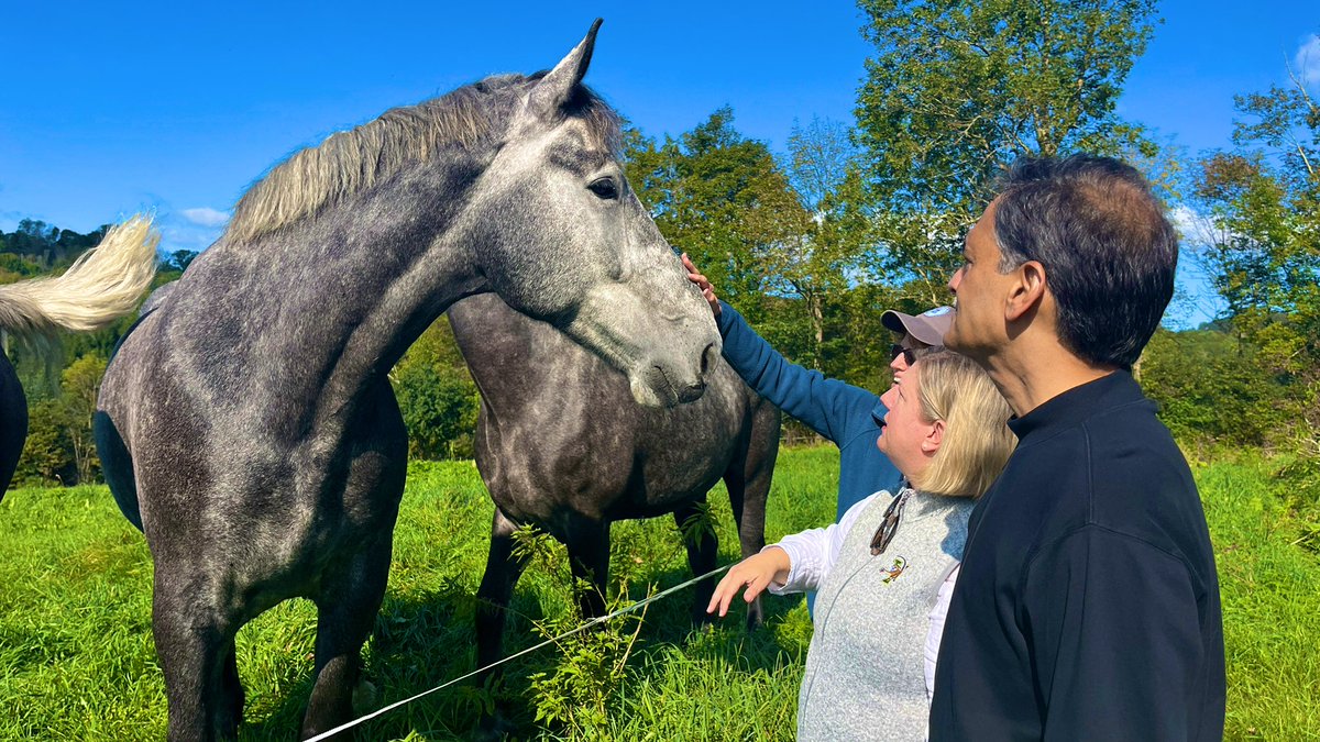 anson_ag's tweet photo. And a big bonus meeting these stunning Work Horses at the farm. #drafthorses #Percherons https://t.co/MOYvIQfUq4